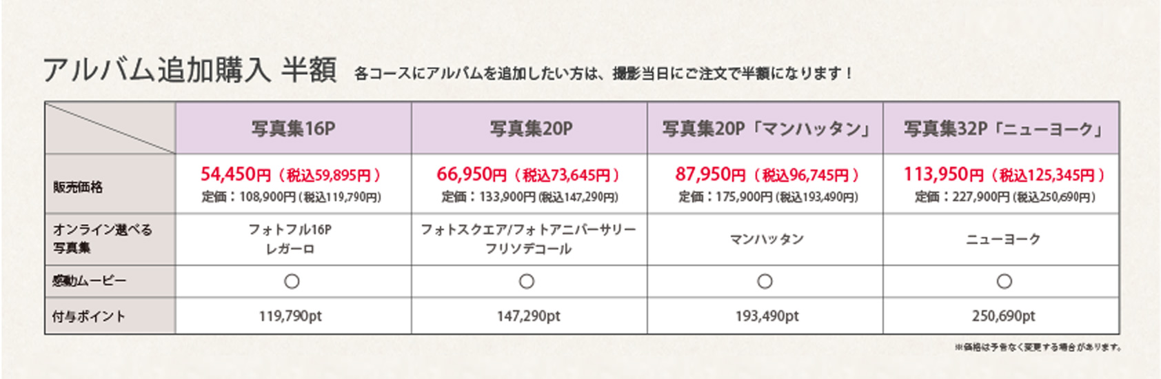 追加オプション