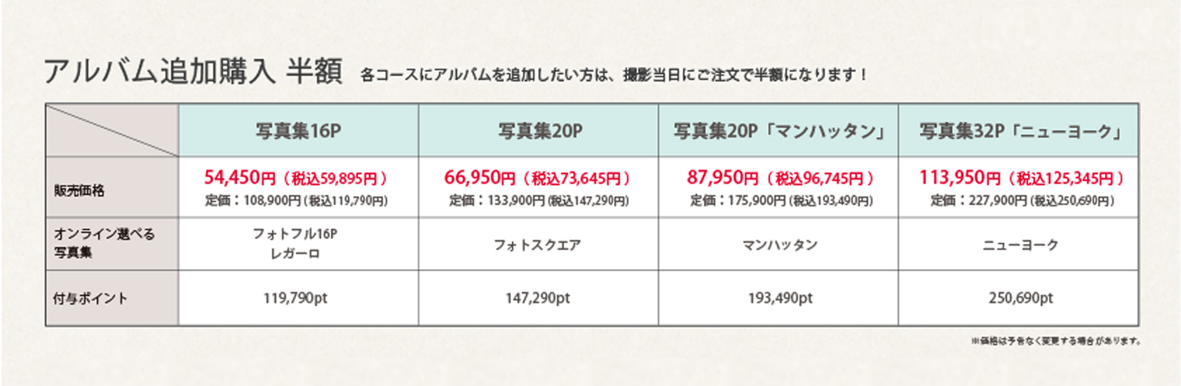 追加オプション