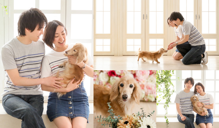セットなら撮影全データ付!