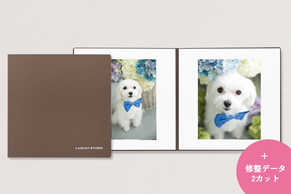 六切L写真2枚(台紙付)