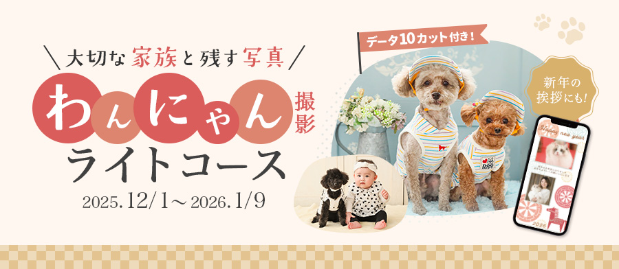 わんにゃんフォト ライトコース