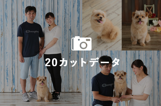 データ20カット