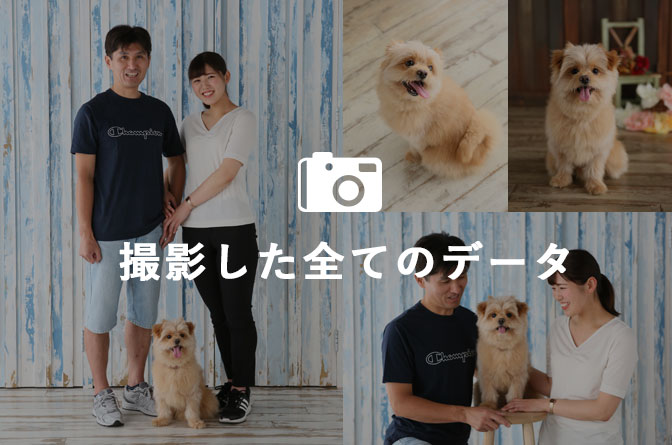 撮影全データ