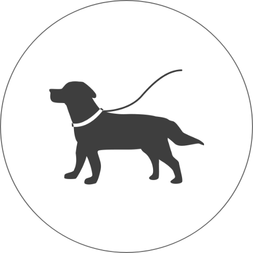 リードを付けた犬のアイコン