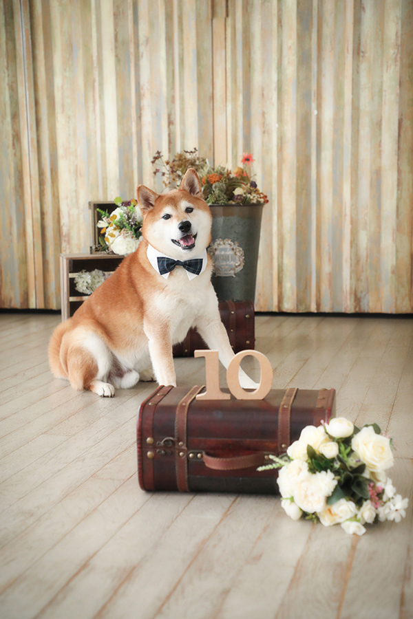 ペット・動物フォト04